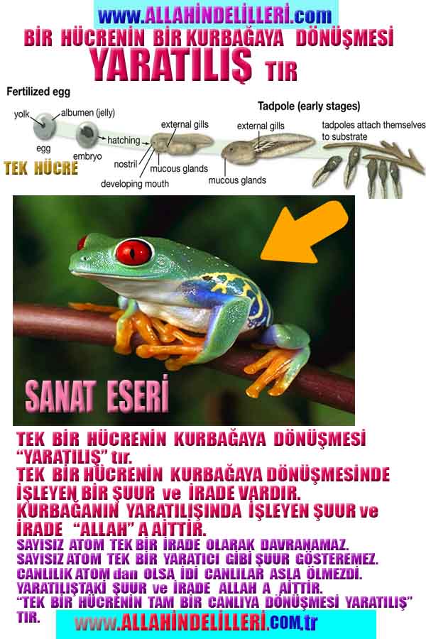 Allahın Varlığının Delilleri, Allahın Delilleri, Tanrının ispatı, Tanrının kanıtları, Allahın ispatı, Allahin delilleri