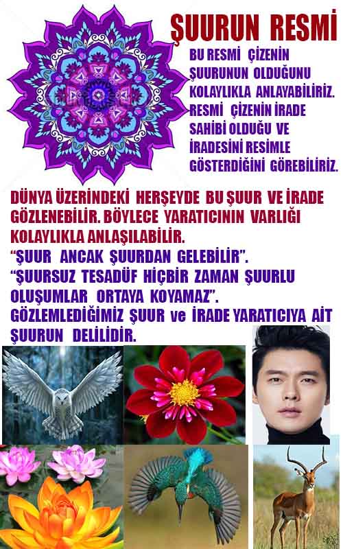 Allahın Varlığının Delilleri, Allahın Delilleri, Tanrının ispatı, Tanrının kanıtları, Allahın ispatı, Allahin delilleri