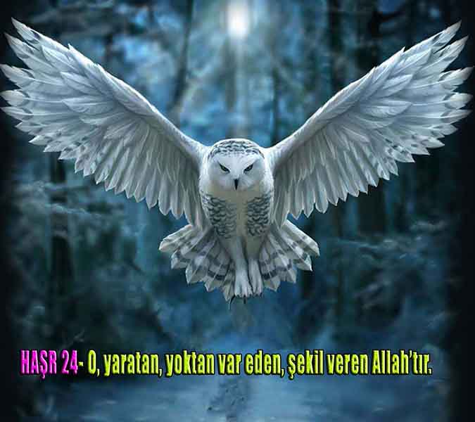 Allahın Varlığının Delilleri, Allahın Delilleri, Tanrının ispatı, Tanrının kanıtları, Allahın ispatı, Allahin delilleri