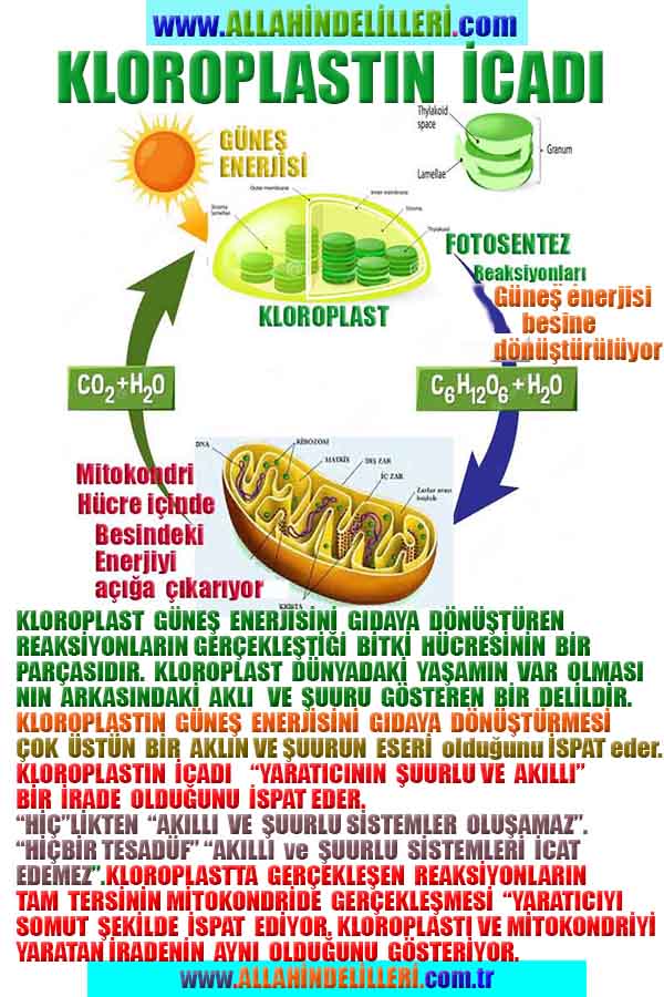 Allahın Varlığının Delilleri, Allahın Delilleri, Tanrının ispatı, Tanrının kanıtları, Allahın ispatı, Allahin delilleri
