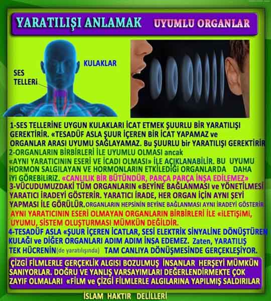 Allahın Varlığının Delilleri, Allahın Delilleri, Tanrının ispatı, Tanrının kanıtları, Allahın ispatı, Allahin delilleri