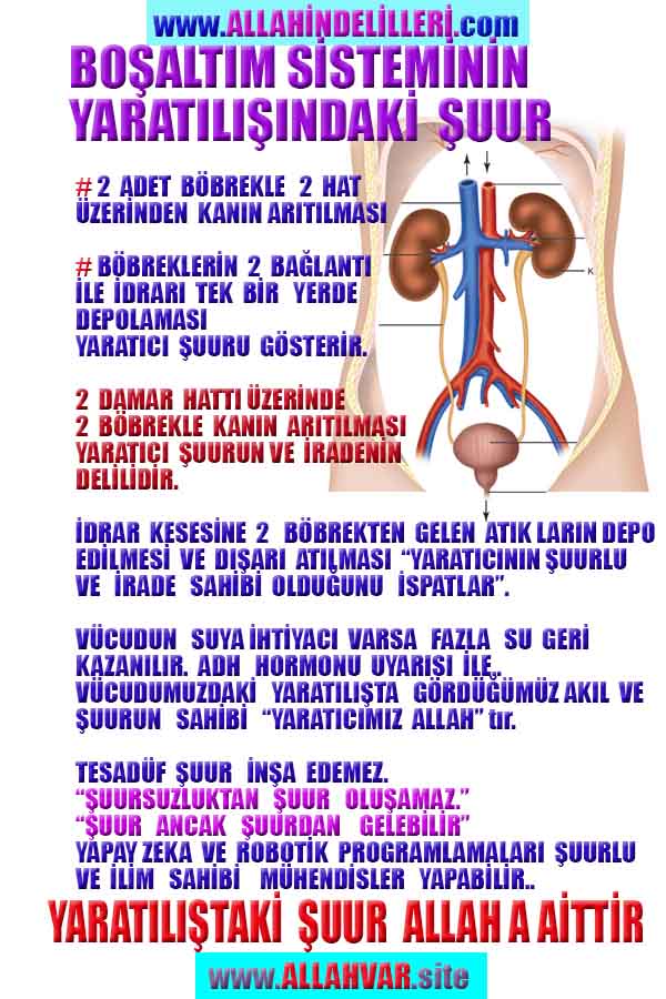 Allahın Varlığının Delilleri, Allahın Delilleri, Tanrının ispatı, Tanrının kanıtları, Allahın ispatı, Allahin delilleri
