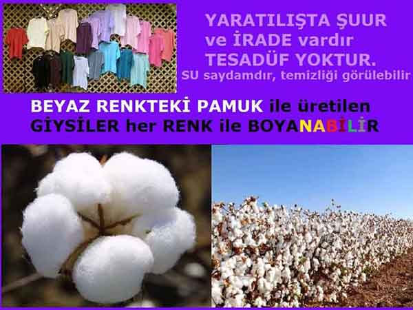 Allahın Varlığının Delilleri, Allahın Delilleri, Tanrının ispatı, Tanrının kanıtları, Allahın ispatı, Allahin delilleri