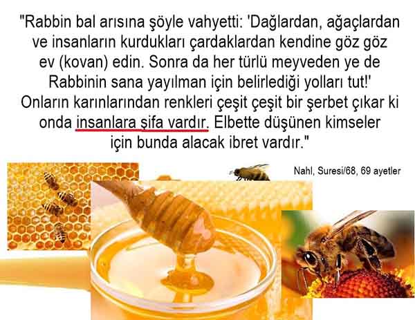 Allahın Varlığının Delilleri, Allahın Delilleri, Tanrının ispatı, Tanrının kanıtları, Allahın ispatı, Allahin delilleri