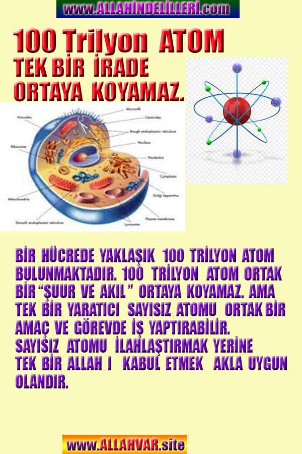 Allahın Varlığının Delilleri, Allahın Delilleri, Tanrının ispatı, Tanrının kanıtları, Allahın ispatı, Allahin delilleri