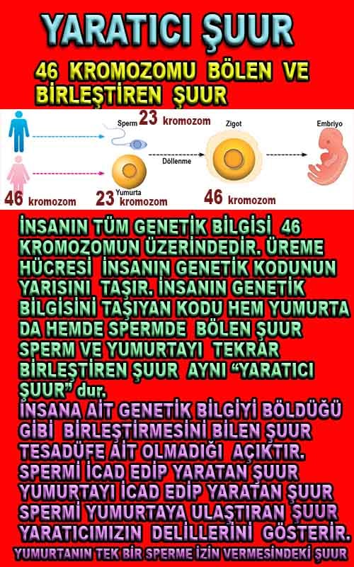 Allahın Varlığının Delilleri, Allahın Delilleri, Tanrının ispatı, Tanrının kanıtları, Allahın ispatı, Allahin delilleri