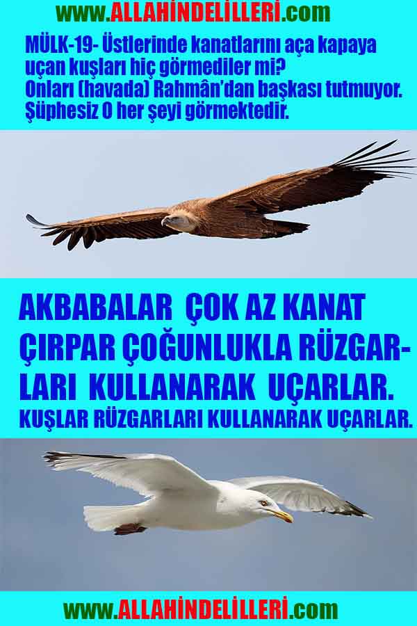 Allahın Varlığının Delilleri, Allahın Delilleri, Tanrının ispatı, Tanrının kanıtları, Allahın ispatı, Allahin delilleri